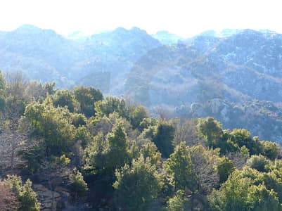 Land Ideal for residential or villas project In Ehmej REF#RS127830