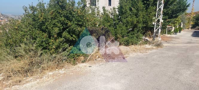 Prime Land+mountain view 4sale in Rechdebine/Koura-أرض للبيع في الكورة