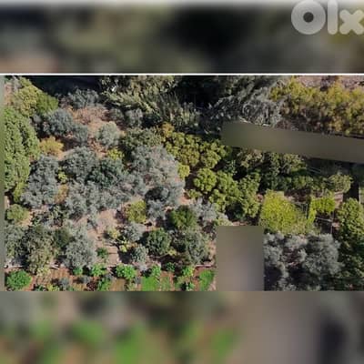 عقار للبيع في منطقه البترون . . land for sale in Batroûn