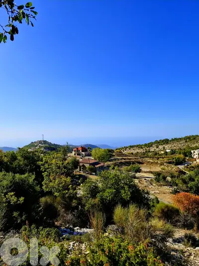 Land for sale in Lehfed