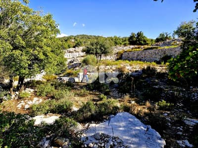 Land for sale in Lehfed