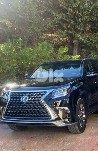 Lexus GX-Series 2010