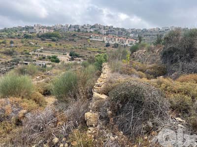 Land for Sale in Btalloun–Zone 25/50 Land for Sale in Btalloun–Zone 25/50
