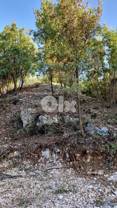 RWB172RH - Land for sale in Chabtine - Batroun