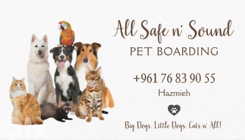 Pet Hotel 0