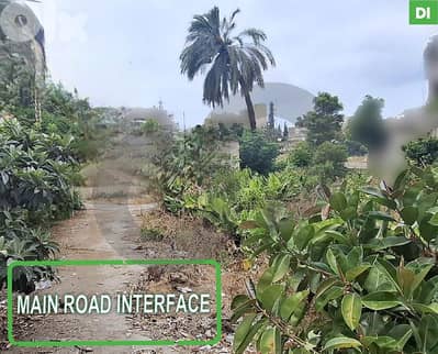 3100 SQM Land for Sale in SAIDA / صيدا   REF#DI127630