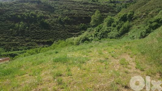 1651 SQM Land For Sale In Tannourine أرض للبيع #CT2213206