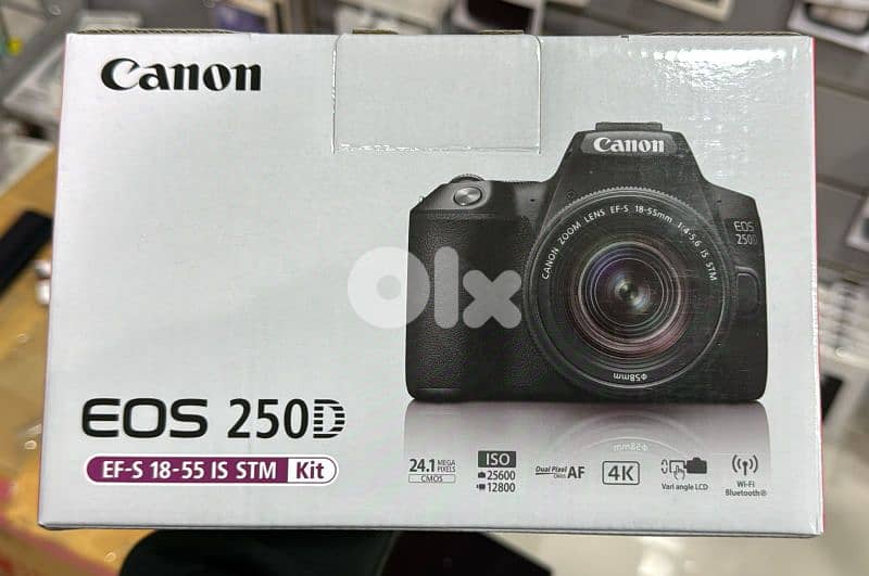 Canon Camera EOS 250D EF-S 18-55 IS STM Kit 0