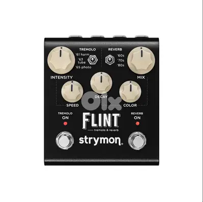 Strymon Flint V2