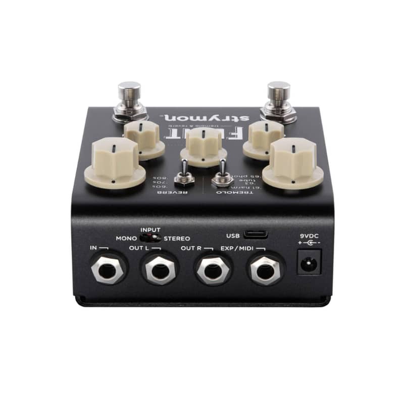 Strymon Flint V2 1
