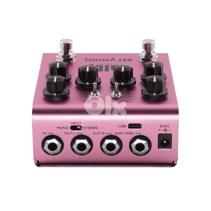 Strymon DIG V2 1