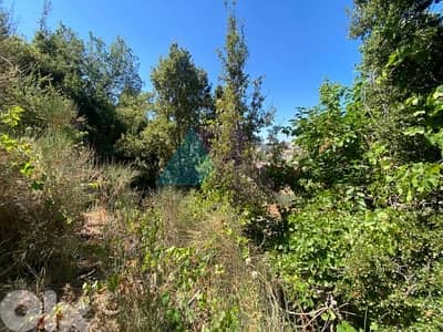 A 2000m2 Land+mountain view 4 Sale in Mayrouba - أرض للبيع في ميروبا