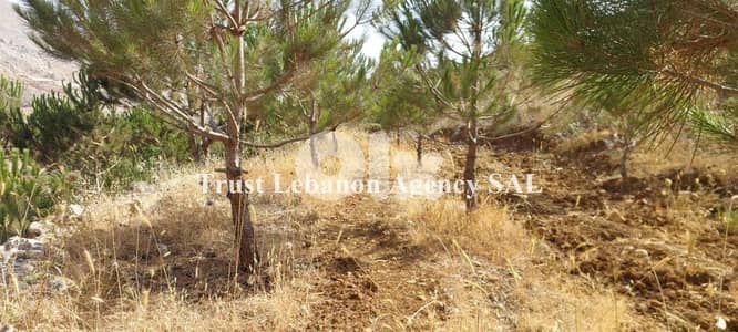 Land + House for sale in Ain Dara | Mountain view عقار للبيع مع منزل