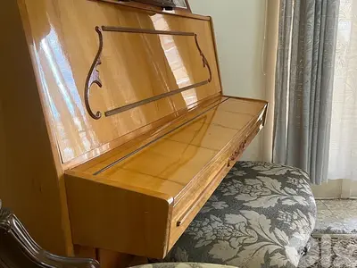 Ukrainian Piano Cypauha Brand