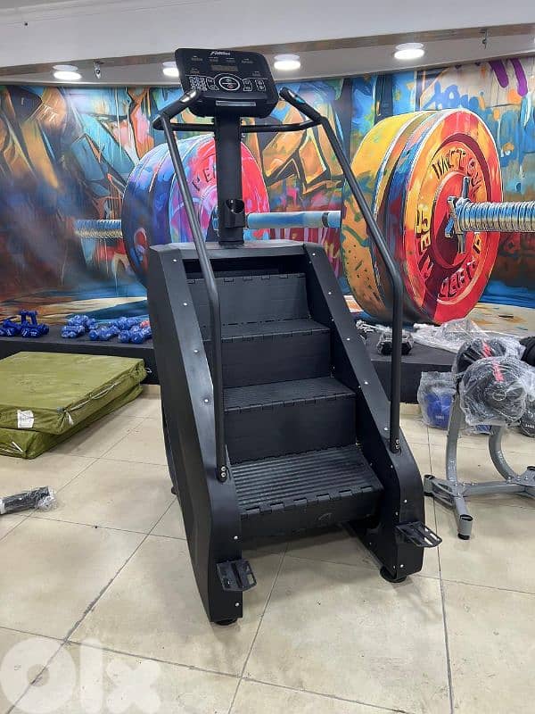 Gym Ladder 0