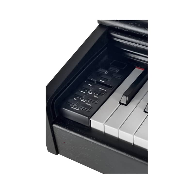 Gewa DP-300, Black 1