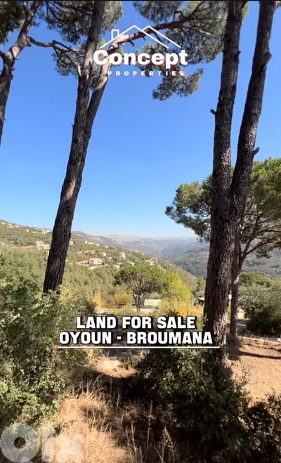 Land for Sale in Broumana - Oyoun
