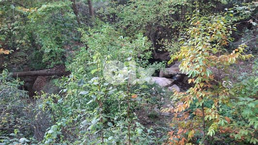 Land for sale in Torza Becharri -أرض للبيع في تورزا – بشري