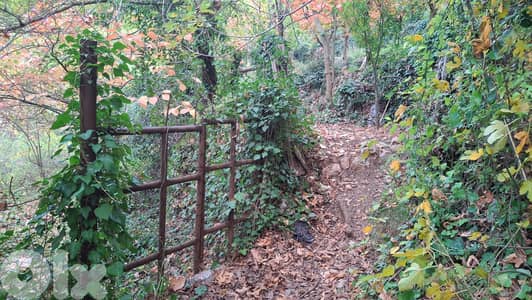 Land for sale in Torza Becharri -أرض للبيع في تورزا – بشري