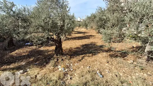 Land for sale in Kousba - أرض للبيع في كوسبا