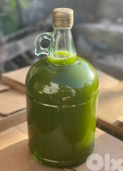 Olive oil premium pure 100% . . . %زيت زيتون أصلي ١٠٠
