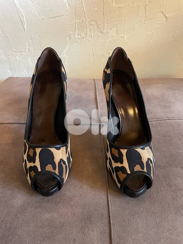 Giuseppe zanotti 1