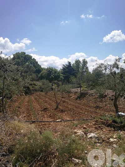 GMC114JD Land for sale in Smar Jbeil-Batroun - أرض للبيع في سمار جبيل