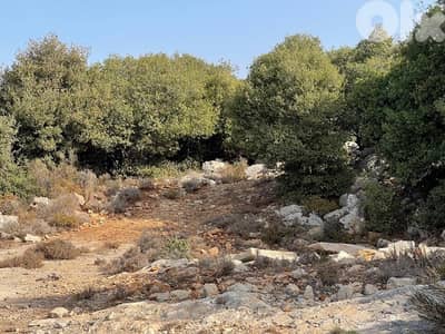 land for sale located batroun !! ارض للبيع في منطقه البترون