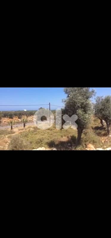 land for sale in anfeh أرض للبيع في أنفه