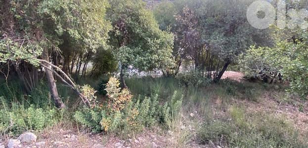 land for sale located batroun ( 8 min away )