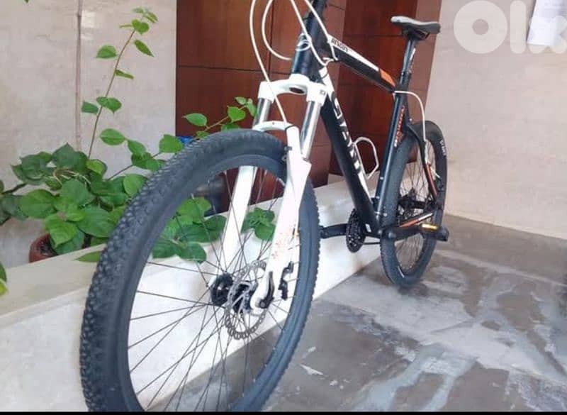 Giant Rincon 5
