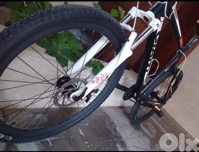 Giant Rincon 7