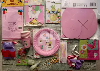 Lama birthday theme decoration