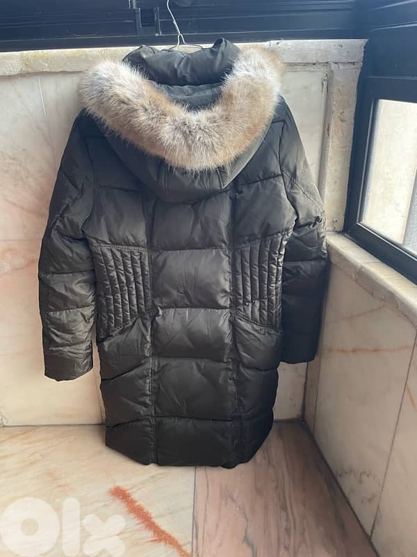 Michael kors 8