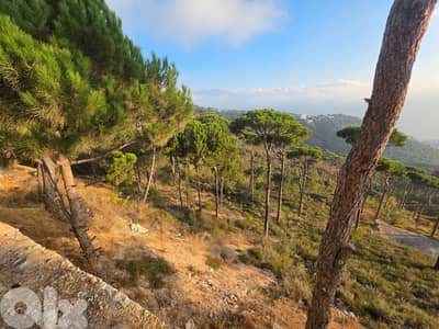 أرض للبيع في عيرون Land for sale in Ayroun