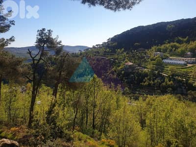 1048m2 land +Mountain View for sale in Baskinta - أرض للبيع في بسكنتا