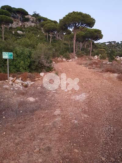 Multiple Lands for Sale in Ras Al Maten أراضي متعددة