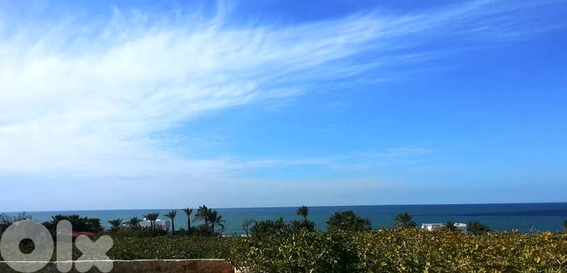 6900 SQM Shoreline Land in Berbara, Jbeil + Full Sea View 0