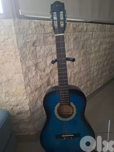 Guitar with Bag