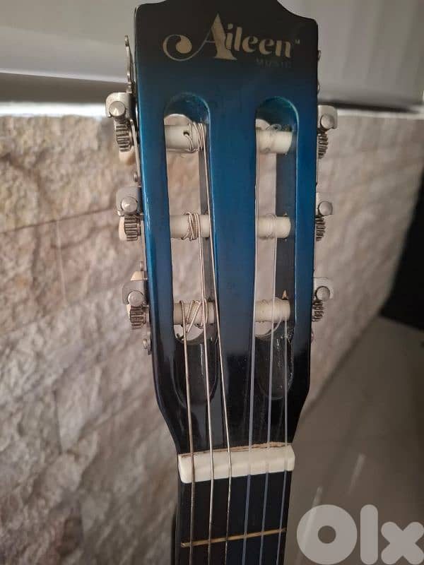 Guitar with Bag 1