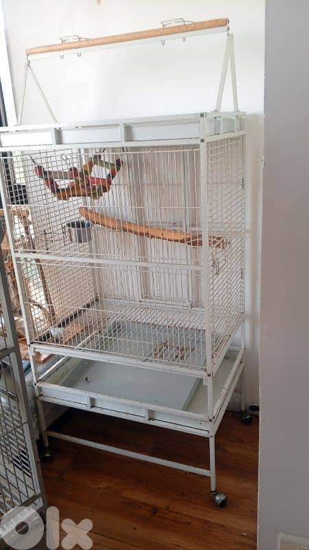 big cage for parrot 5