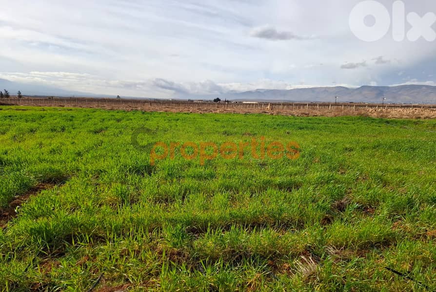 Land For Sale In Kaa  أرض للبيع في القاع CPBWW62 1