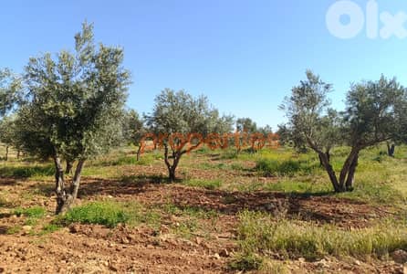 Land For Sale In Kaa  أرض للبيع في القاع CPBWW62