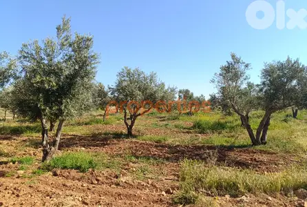 Land For Sale In Kaa  أرض للبيع في القاع CPBWW62