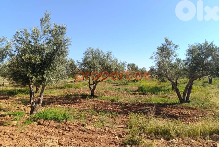 Land For Sale In Kaa  أرض للبيع في القاع CPBWW62 0