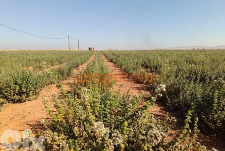 Land For Sale In Kaa  أرض للبيع في القاع CPBWW62