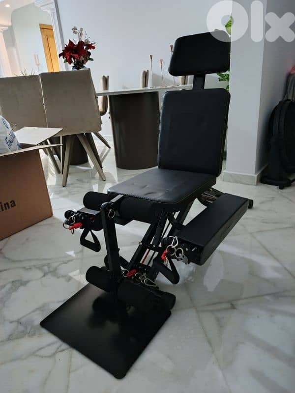 multifunctional adjustable sit-up and leg workout bench 1