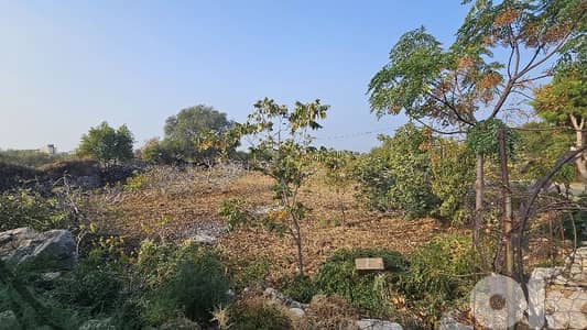 RWB501EA - Land for sale in Monsef Jbeil