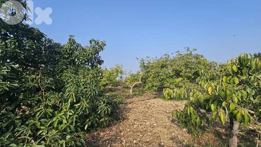 RWB501EA - Land for sale in Monsef Jbeil