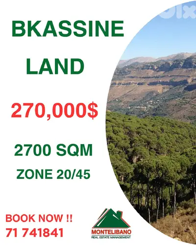 2700 sqm Land For Sale in Bkassine (بكاسين)